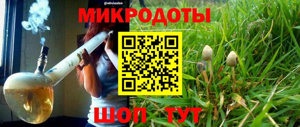 Элиста  Галлюциногенные грибы Cubensis  Псилоцибиновые грибы Psilocybine cubensis  цены наркотик  Вход с VPN 